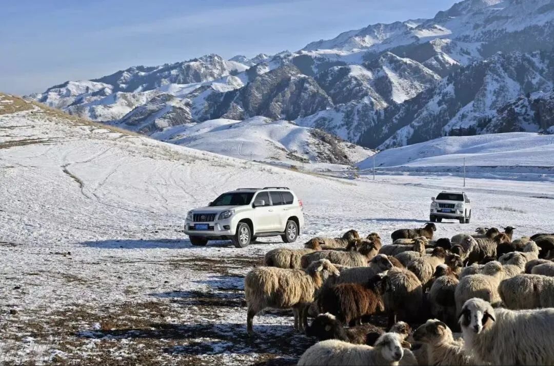 南京援疆：把温暖送到冬牧场“最远