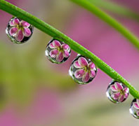 迷幻倒影：这些照片会令你产生&ldquo;幻觉&rdquo;