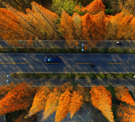 &ldquo;大雪&rdquo;时景图