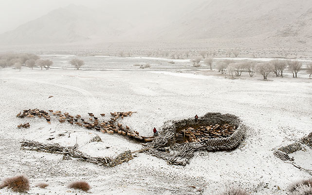 石头和羊粪饼围起的&ldquo;冬窝子&rdquo;
