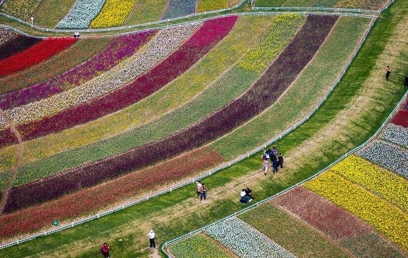 四季美丽中国&mdash;&mdash;春