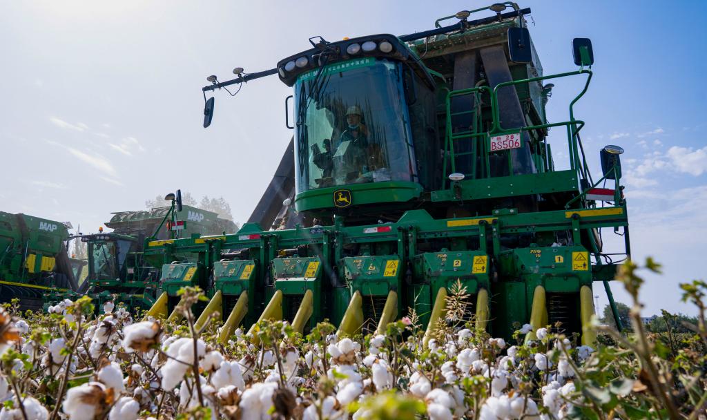 棉花主产区新疆进入机械化采收季