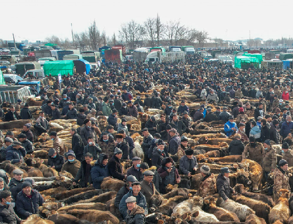 新疆：“牛羊市场”交易火爆